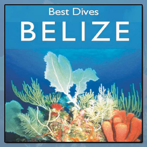 Best Dives Of Belize