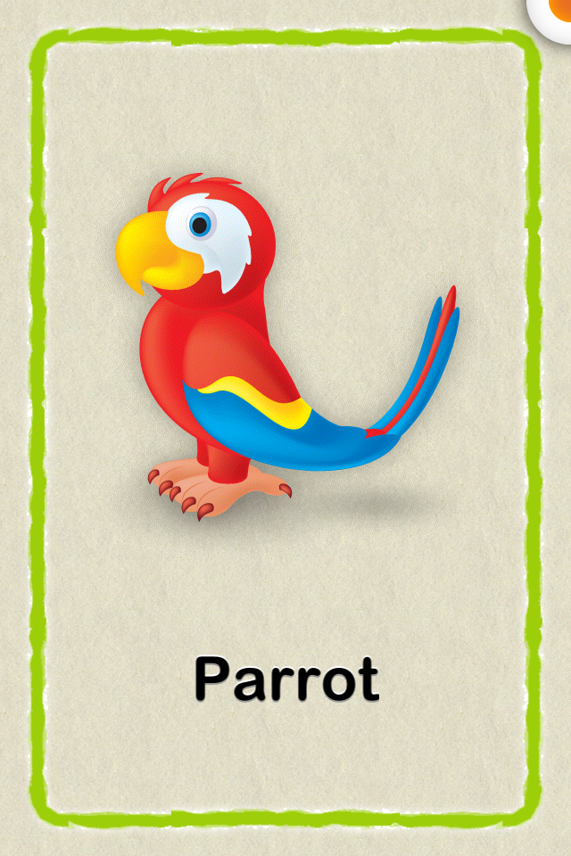 Как по английски будет попугай. Попугай на английском. Попугай карточка на английском. Попугай по. Английский язык для детей попугай.