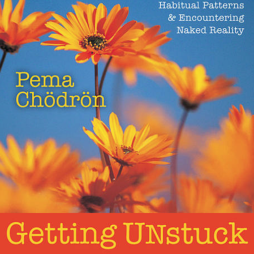 Getting Unstuck - Breaking Your Habitual Patterns & Encountering Naked Reality