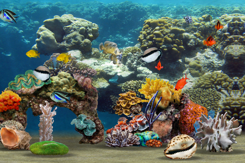 App Shopper: MyReef 3D Aquarium (Entertainment)