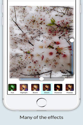 Filter - 写真にフィルタをかけシェアする最もシンプルな無料アプリ - náhled