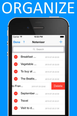 Noteniser - the simplest way to organize your note - náhled