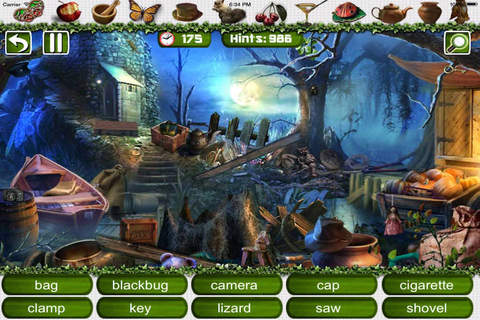 Hidden Objects 7 Mystery Games - náhled