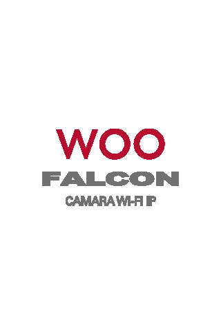 Falcon IP Cam - náhled