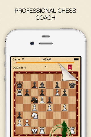 Mate in 1? OK! - náhled