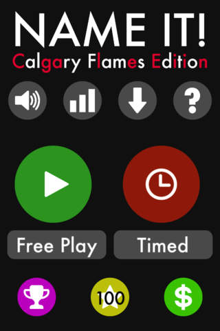 Name It! - Calgary Hockey Edition - náhled
