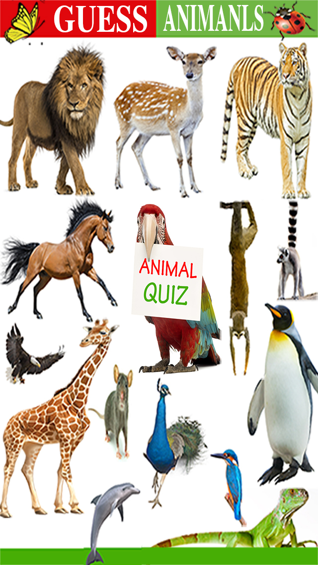 Квиз животные. Animal Quiz. Animals Quiz for Kids. Animal Quiz картинка. Farm animals Quiz.