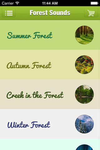 Forest Sound for Sleep and Meditation - náhled