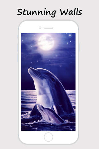 Dolphin Wallpapers - Best Collections Of Dolphin P - náhled