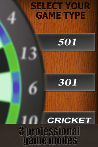 Professional Darts 3D - náhled