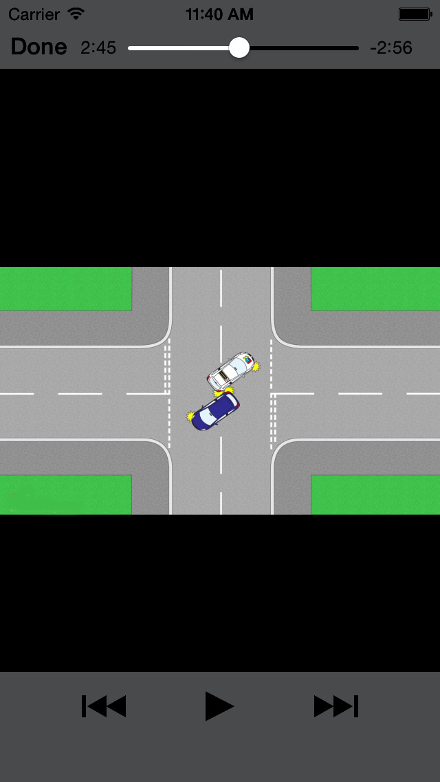 Drivings Lesson screenshot 5
