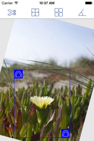 Photo Cut Free - náhled