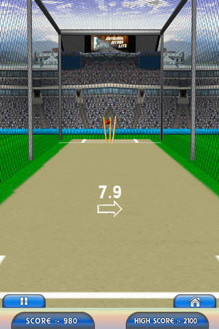 Hit The Wicket - náhled