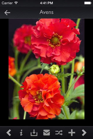 Plant Encyclopedia Pro - náhled