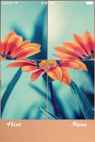 Flower Jigsaw Puzzle - náhled