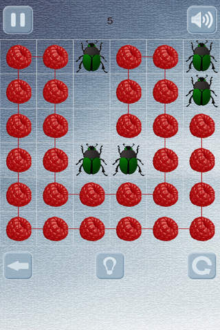 Berry puzzle - náhled