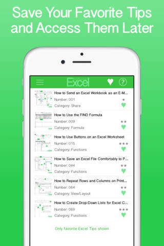 Professor's Daily Tips for Excel - náhled
