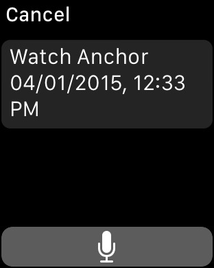 Anchor Pointer Compass GPS screenshot 8