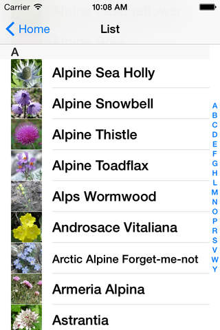 Mountain Flowers Guide (Alps) - náhled