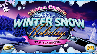 Hidden Objects Winter Snow Christmas Holiday Time screenshot 1