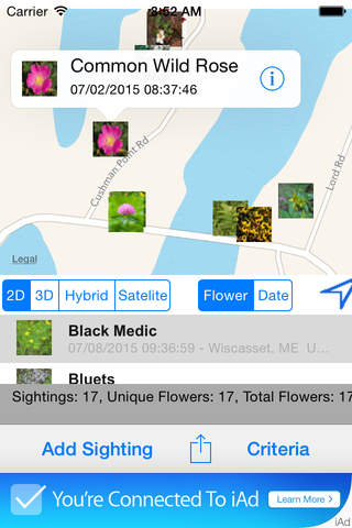 Wildflower Journal - náhled