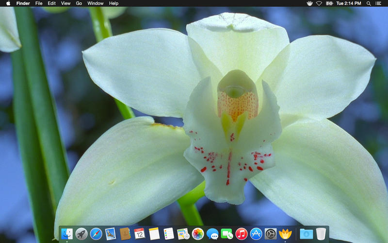 Magic Flowers - Living Wallpaper & Screen Saver screenshot 4