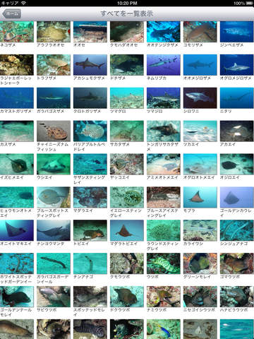 南国魚ガイド 1700種類の魚図鑑 Apps 148apps