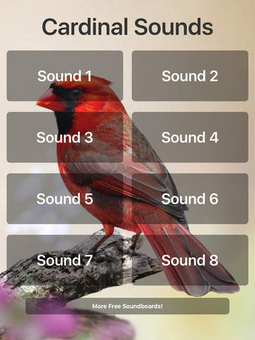 Cardinal Sounds - náhled