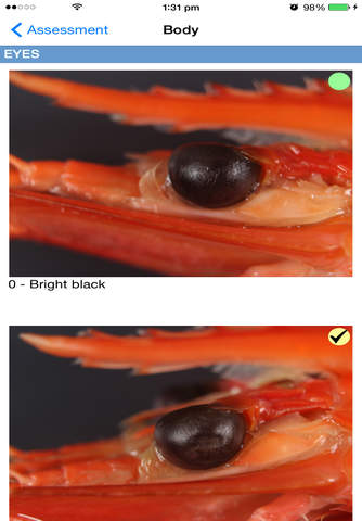 Australian Seafood Quality Index - náhled