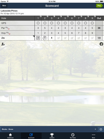 Blue Hill Golf Course screenshot 8