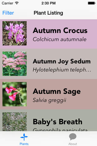 Southwest Plant Selector - náhled