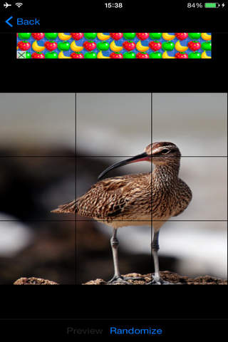 Free Jigsaw Puzzles - náhled