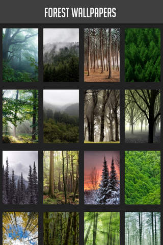 Forest Wallpapers - náhled