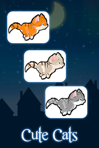 Cats Play Out - Night and Day Adventure - náhled