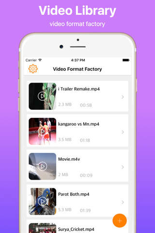 Video Format Factory Pro - náhled