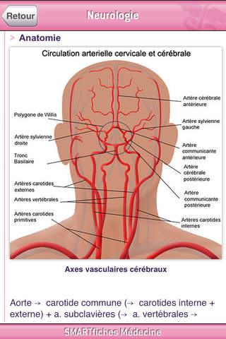 SMARTfiches Neurologie Free - náhled