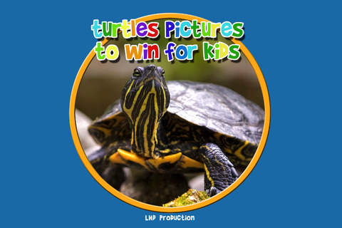turtle pictures to win for kids - free - náhled