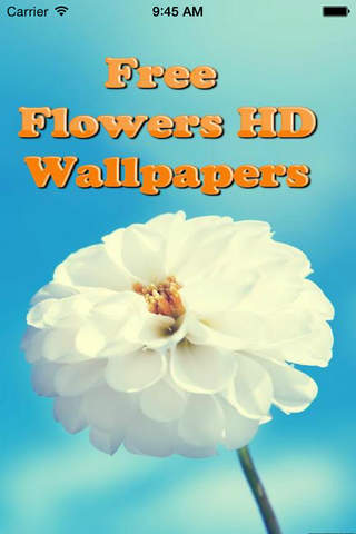 Flower Wallpapers HD – Floral & Flower Backgrounds - náhled