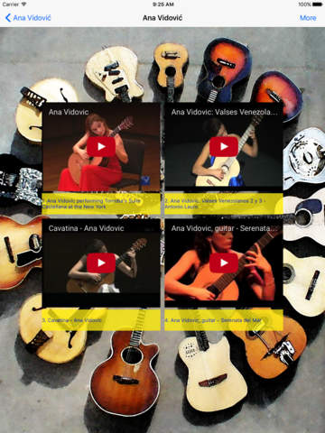 Guitarists - náhled