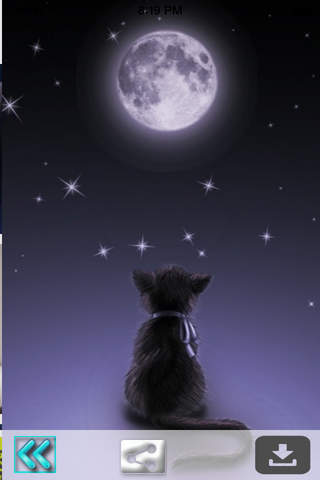 Cute Cats Wallpapers (HD) - Best Kitty Backgrounds - náhled