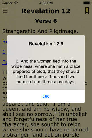 Revelation Commentary. The Holy Bible Commentaries - náhled