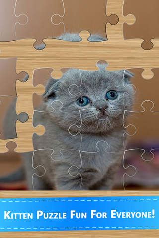 All Kitten Cat Big Jigsaw Puzzle Games For Girls - náhled