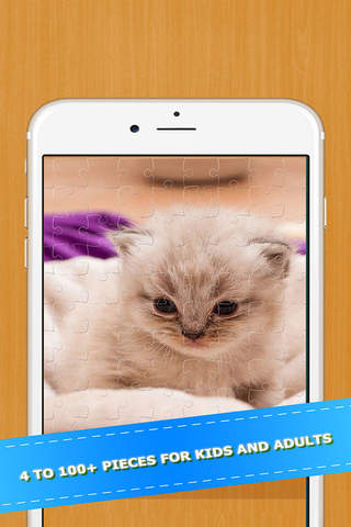 Cat Kitten Kitty Pet Jigsaw Puzzle Sliding Game - náhled