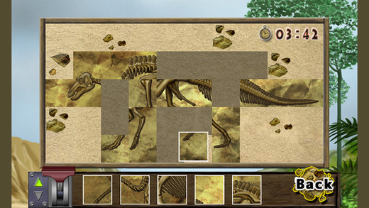 archelon,apatosaurus,barosaurus,gasosaurus,huayangosaurus,hypac