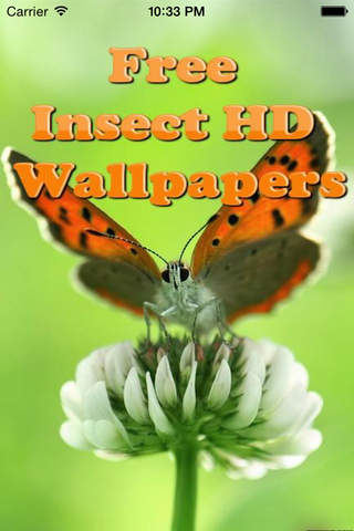 Insect Wallpapers-Best Nature Backgrounds & Images - náhled