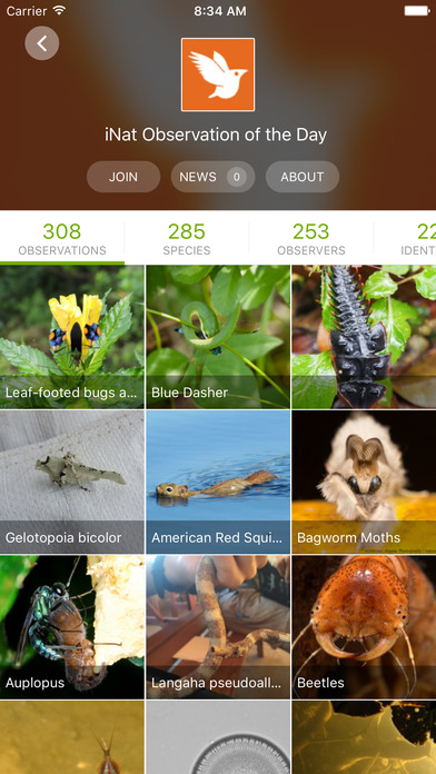 iNaturalist on the App Store