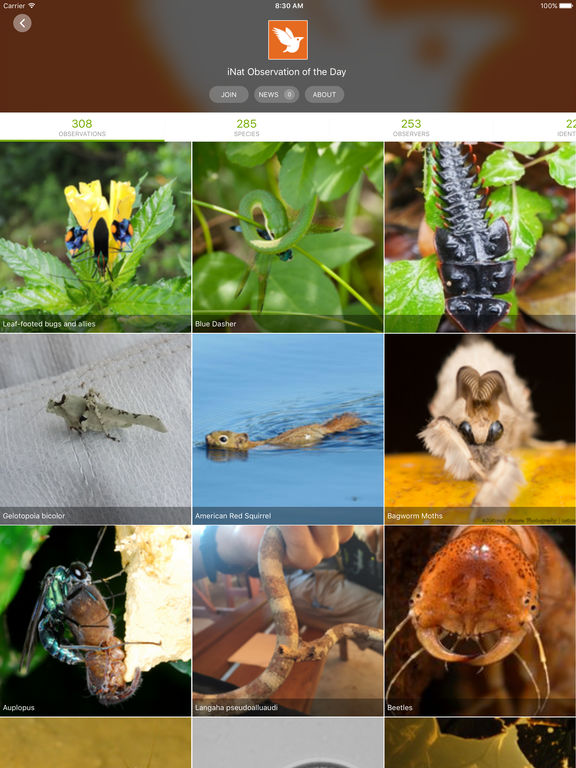 iNaturalist on the App Store