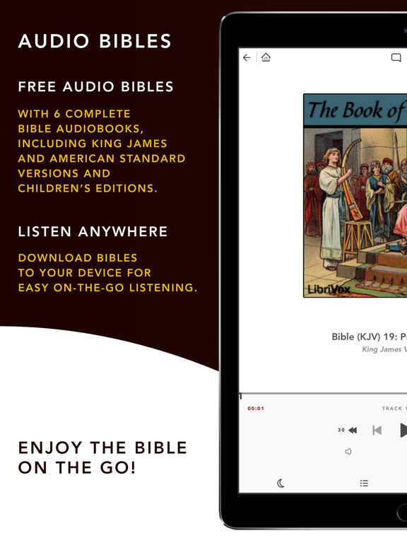 Audio Bibles screenshot 6