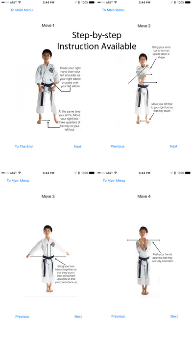 Shotokan Kata Unsu Guide screenshot 2