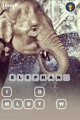 Animal School - after effect photo trivia game - náhled